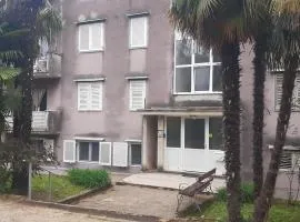 Apartman Andrić