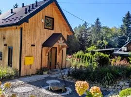 DOMEK NA GÓRACH z JACUZZI I SAUNĄ