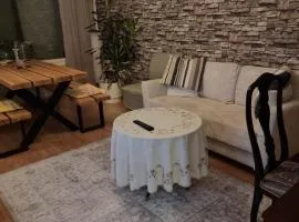 Apartment in Seinäjoki city