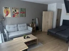 Apartment-Whiskey-Hundefreundlich