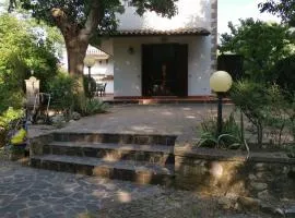 Vacanza nel boschetto