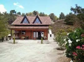 Agros Timber Log House