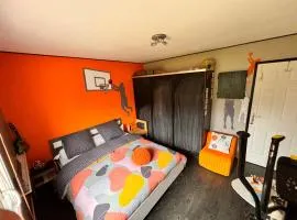 Chambres 24 h du Mans , GP , Le Mans Classic , motos , camions