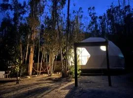 DOMO de Lujo con Tinaja en el Bosque de Tunquen