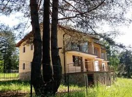 Margarita Mountain Apartments