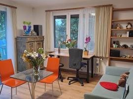 Chalet Gold，位于阿福尔特恩的酒店