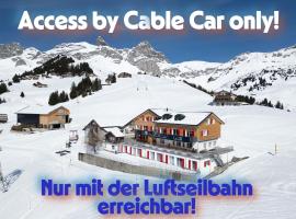 Alphotel Biel-Kinzig - Access by Cable Car only!，位于Bürglen的酒店