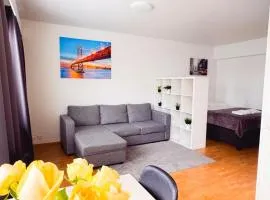 City center 3-room apartment, Parking