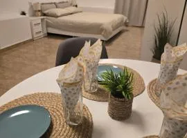 Студио Ива 2