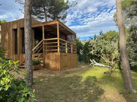 Cabane dans le Luberon - Bird in Provence，位于卡瓦永的乡村别墅