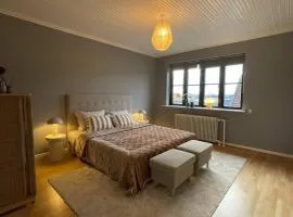 The Harbor Apartment Private Rooftop