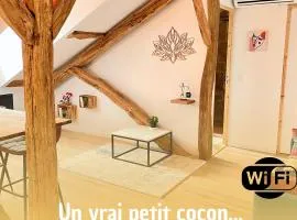 Victor Hugo - Petit cocon au calme - 2ème etage