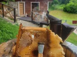 Забрус насолоди