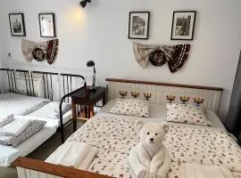 Transylvania Apartment old town