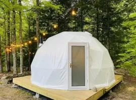 Geodome 1min to Smuggler's Notch with hot tub & River