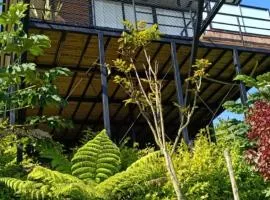 Gampling el Cielo los pinos