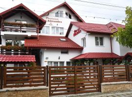 Pensiunea Casa Alexandra，位于瓦特拉多尔内的酒店