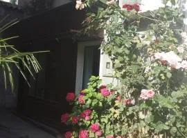 Apartment Saric