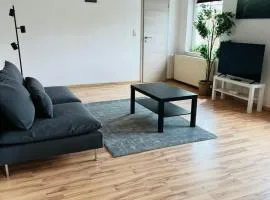 Spacious Apartment for 6