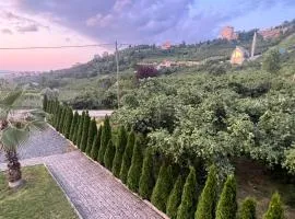 Sea and Natural Adalet Suits