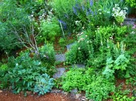 Fir Mountain Escape home