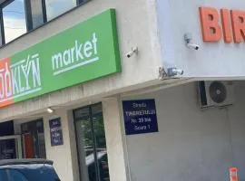 apartament 1 camera