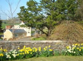 Pen-y-Bont Guest House，位于安姆罗斯的旅馆