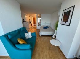 Studio avec accès direct au lac de Geneve，位于Saint-Gingolph的酒店