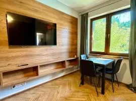 Urokliwy apartament położony na terenie Ośrodka Jeździeckiego Bilcza, 14 km od centrum Kielc