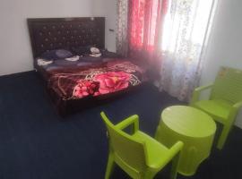 Alif inn，位于斯利那加的酒店