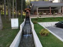 Hotel Balkana Vidović