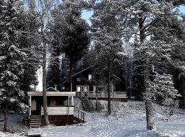 Cozy Arctic Lakeside Cottage with private sauna，位于佩洛的酒店