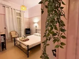 Classic rooms in the center