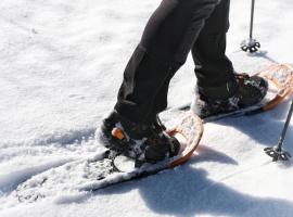 SeeHotel & SeeApartments Kärntnerhof- direkt am See!，位于魏森湖的酒店