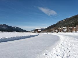 SeeHotel & SeeApartments Kärntnerhof- direkt am See!，位于魏森湖的酒店