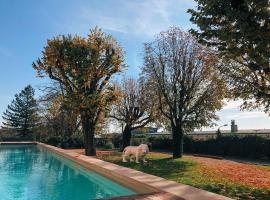 富维耶酒店，位于里昂的酒店