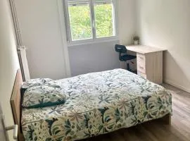 Renovated 3-Bedroom Apartment near UTT