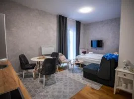 Mountain goat Bjelašnica