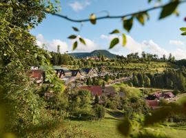 多棱伯格酒店，位于巴特彼得斯塔尔-格里斯巴赫的酒店