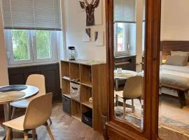 Grande chambre élégante Les Chambres Bannacker 25 m2 Centre à pied