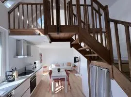 Location Maison Larmor plage