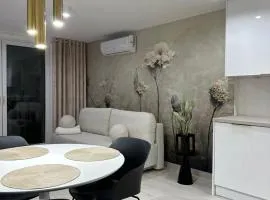 Nowoczesne studio Roweckiego