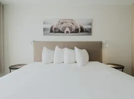 Private Luxury Room- C - King bed, Centrally Located , Free Shuttle to ski Hill and Resort, Coffee