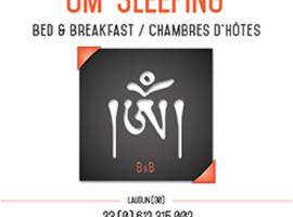 Om'Sleeping B&B，位于Laudun的住宿加早餐旅馆