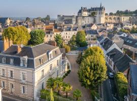 Hôtel Le Pavillon des Lys - Amboise Centre，位于阿姆博斯的酒店