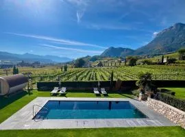 Weingut Gasshof- Panorama Pool in den Weinbergen