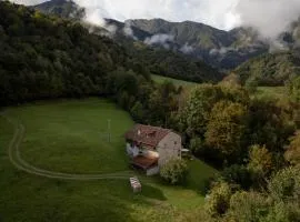 Wooden Stories - Nature, Netflix & Wi-Fi