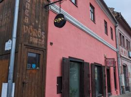 Céhes Guesthouse，位于特尔古-塞奎斯的酒店
