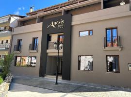 阿尼西斯酒店，位于卡拉维塔的滑雪度假村