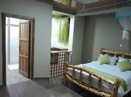 Ashara guesthouse，位于阿瓦萨的酒店